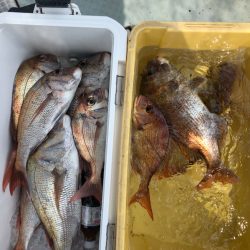 フィッシング キッタカ 釣果