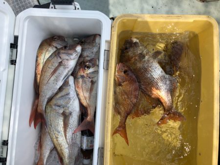 フィッシング キッタカ 釣果