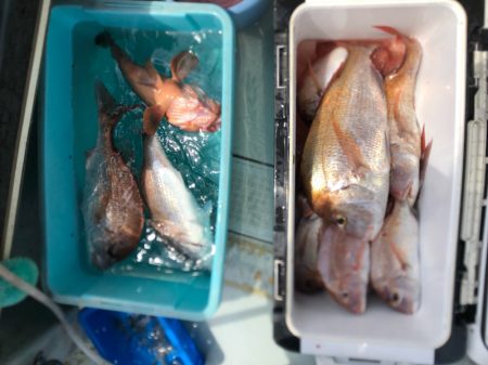 フィッシング キッタカ 釣果