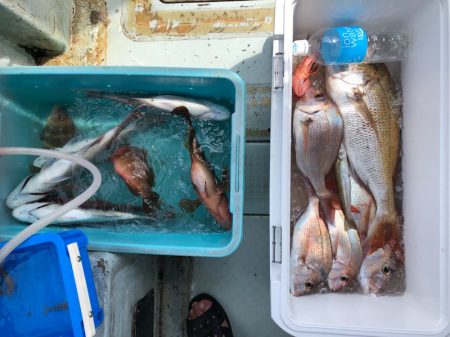 フィッシング キッタカ 釣果