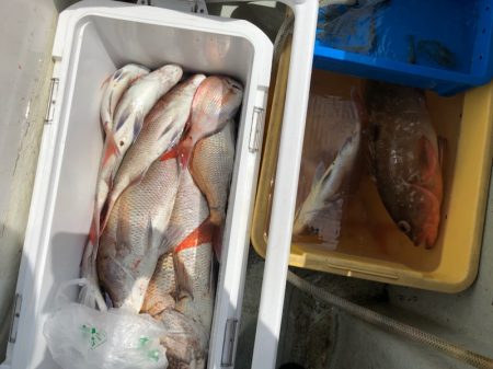 フィッシング キッタカ 釣果