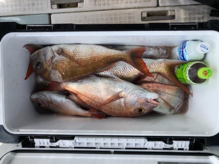 フィッシング キッタカ 釣果