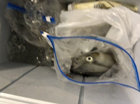 海龍丸（石川） 釣果