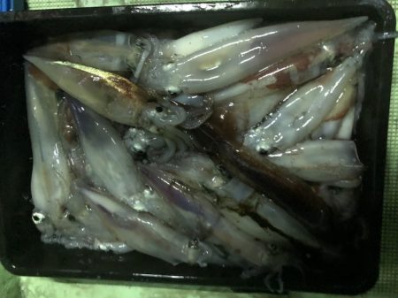 海龍丸（石川） 釣果