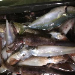 海龍丸（石川） 釣果