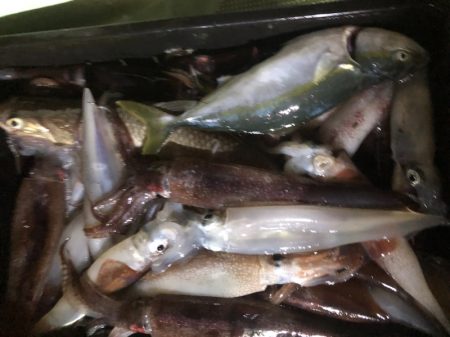 海龍丸（石川） 釣果