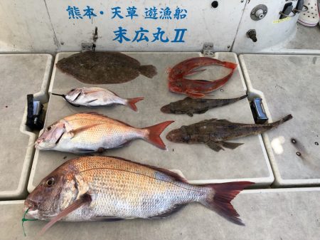 末広丸(熊本) 釣果