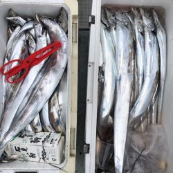 フィッシング キッタカ 釣果