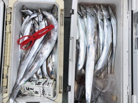 フィッシング キッタカ 釣果