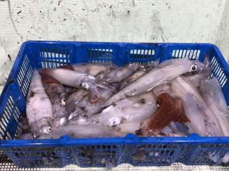 海龍丸（石川） 釣果