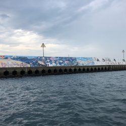 「LaGooN」蒼陽丸 日和号 釣果