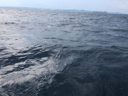 「LaGooN」蒼陽丸 日和号 釣果