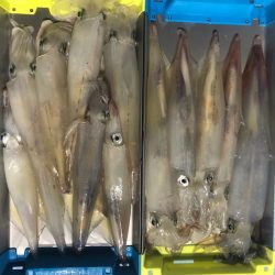 第二八坂丸 釣果