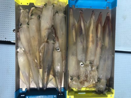 第二八坂丸 釣果