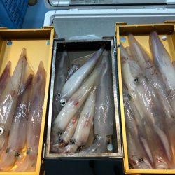 第二八坂丸 釣果