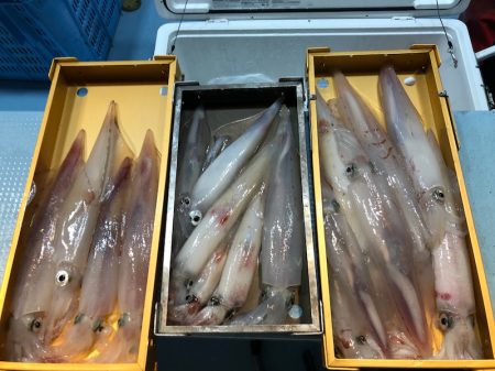 第二八坂丸 釣果