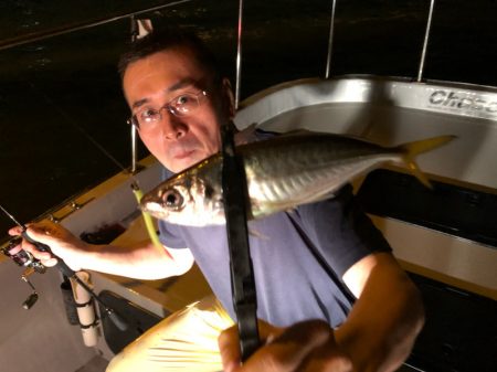 Chase(チェイス) 釣果