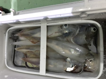 海龍丸（石川） 釣果