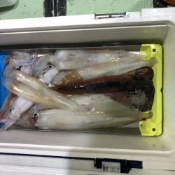 海龍丸（石川） 釣果