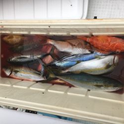 海楽隊 華栞丸 釣果