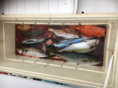 海楽隊 華栞丸 釣果