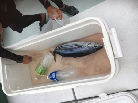 海楽隊 華栞丸 釣果