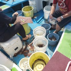丸万釣船 釣果