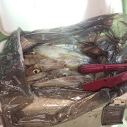 海龍丸（石川） 釣果