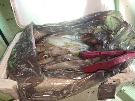 海龍丸（石川） 釣果