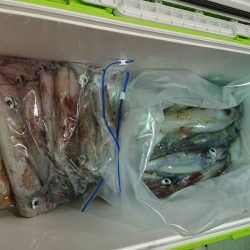 海龍丸（石川） 釣果