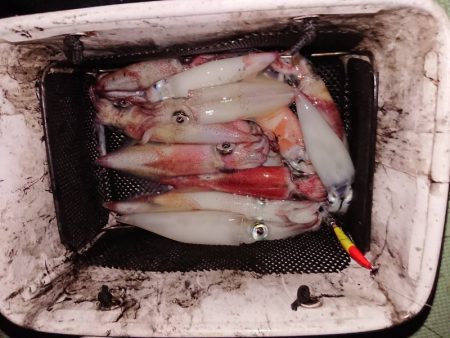 海龍丸（石川） 釣果