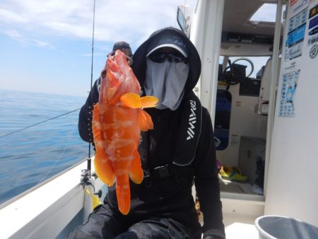 きずなまりん 釣果
