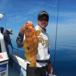 きずなまりん 釣果