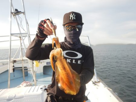 きずなまりん 釣果