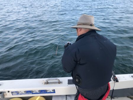 Ｖ−７ West 釣果