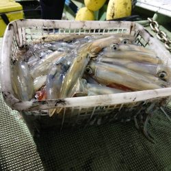 海龍丸（石川） 釣果
