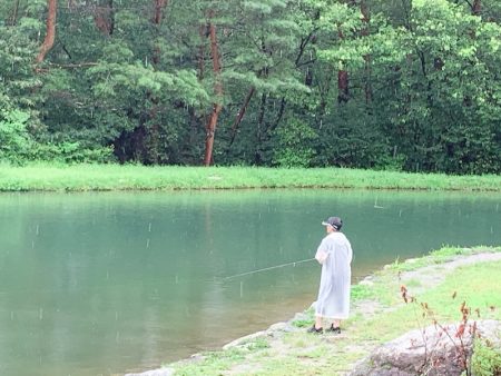 白州トラウトフィッシングエリア　シルフ 釣果