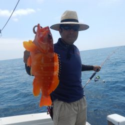 きずなまりん 釣果