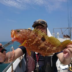 ありもと丸 釣果
