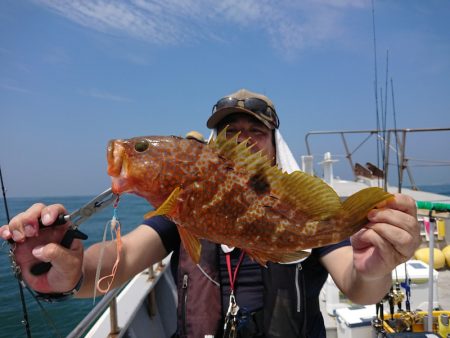 ありもと丸 釣果
