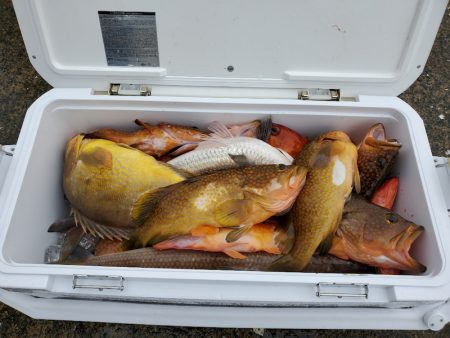 ソルトウォーターガイドフレンズ 釣果