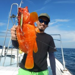 きずなまりん 釣果