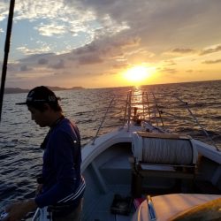 アマテラス 釣果