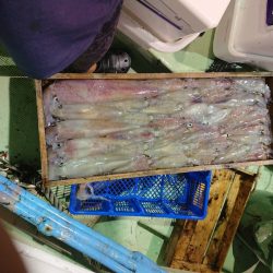 海龍丸（石川） 釣果