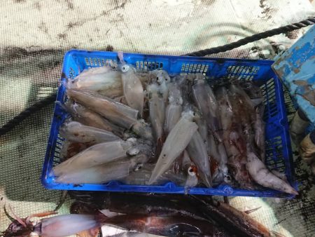 海龍丸（石川） 釣果