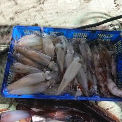 海龍丸（石川） 釣果