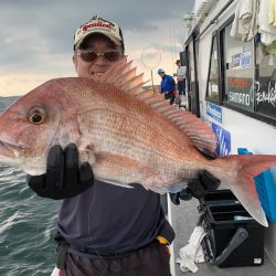 ランスルー 釣果