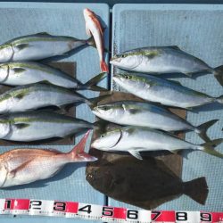 清和丸 釣果
