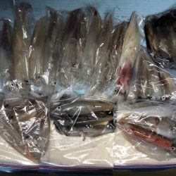 第二八坂丸 釣果