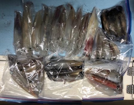 第二八坂丸 釣果